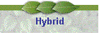 Hybrid